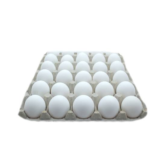 12 piece Egg
